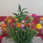 Hotell Nuovo Nord