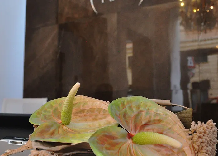 Szálloda Nuovo Nord